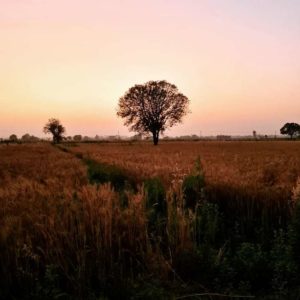 WhatsApp Image 2022-03-30 at 07.41.39